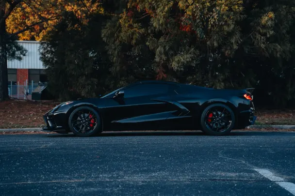 Kazino Sticky Wilds Android/iOS programa